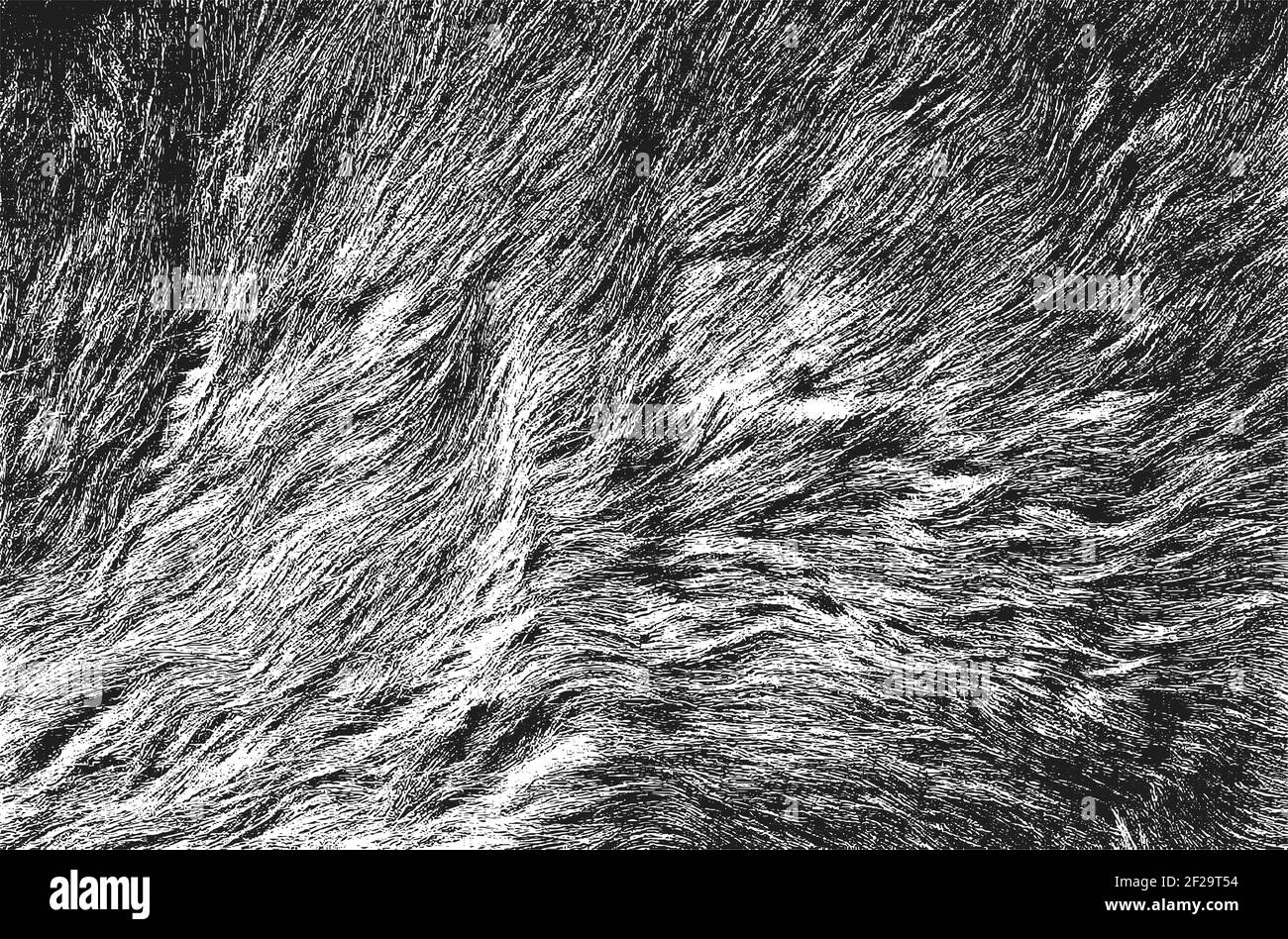 Vector Pattern Overlay Fur Distressed overlay texture of natural fur, grunge vector background ...