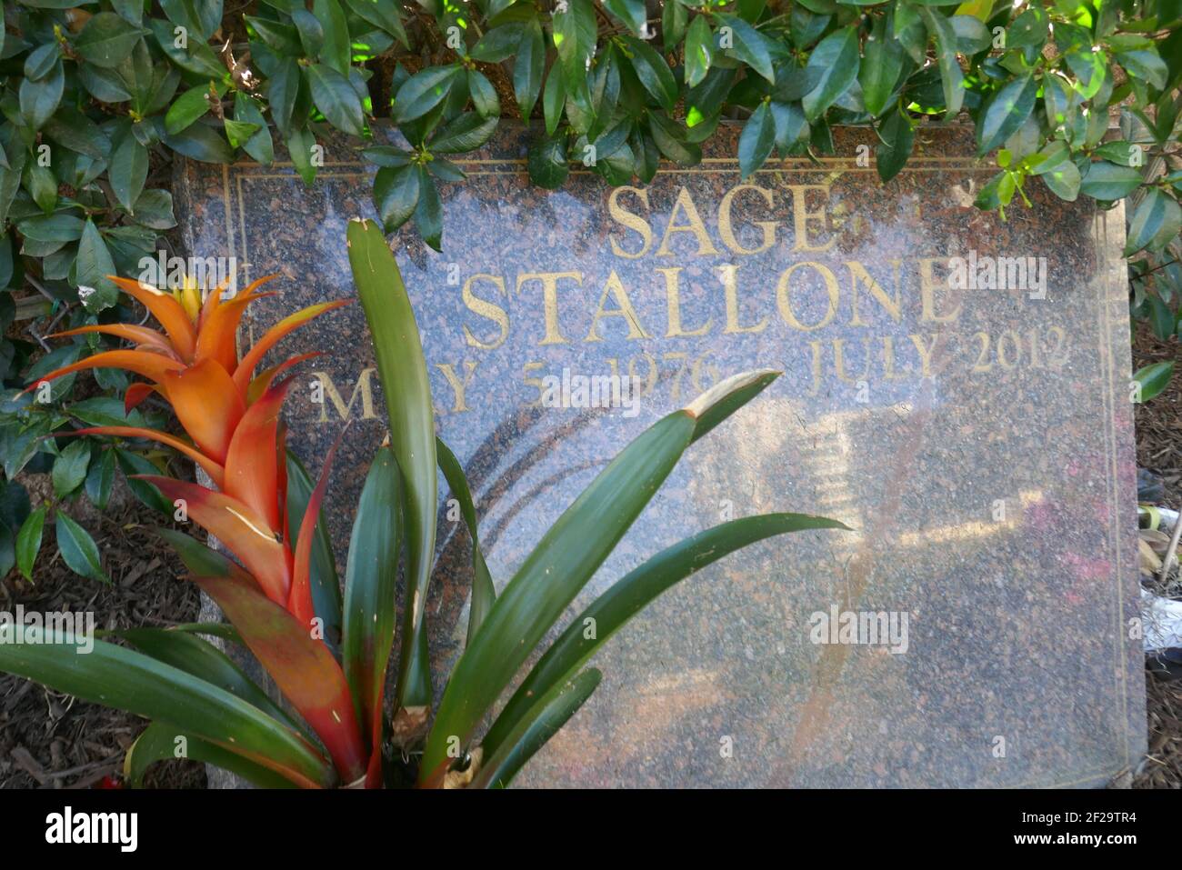 Los Angeles, California, USA 9th March 2021 A general view of