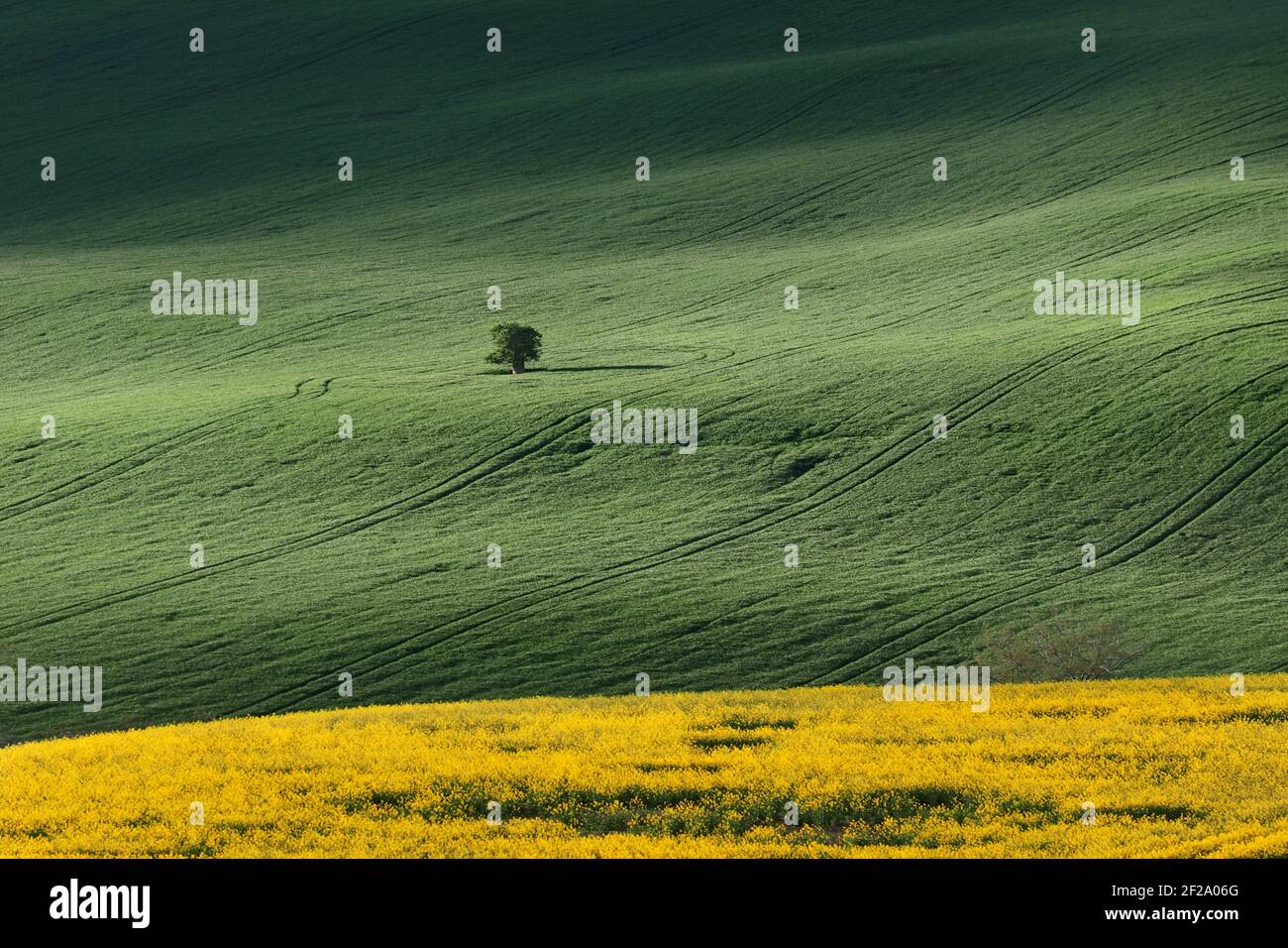 Spring flowering landscape in Moravia in Central Europe Stock Photo