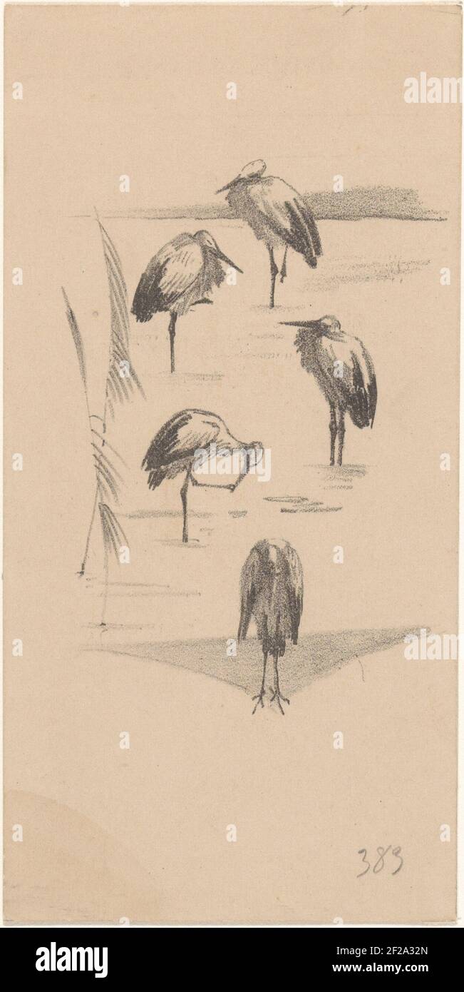 Five storks hi-res stock photography and images - Alamy