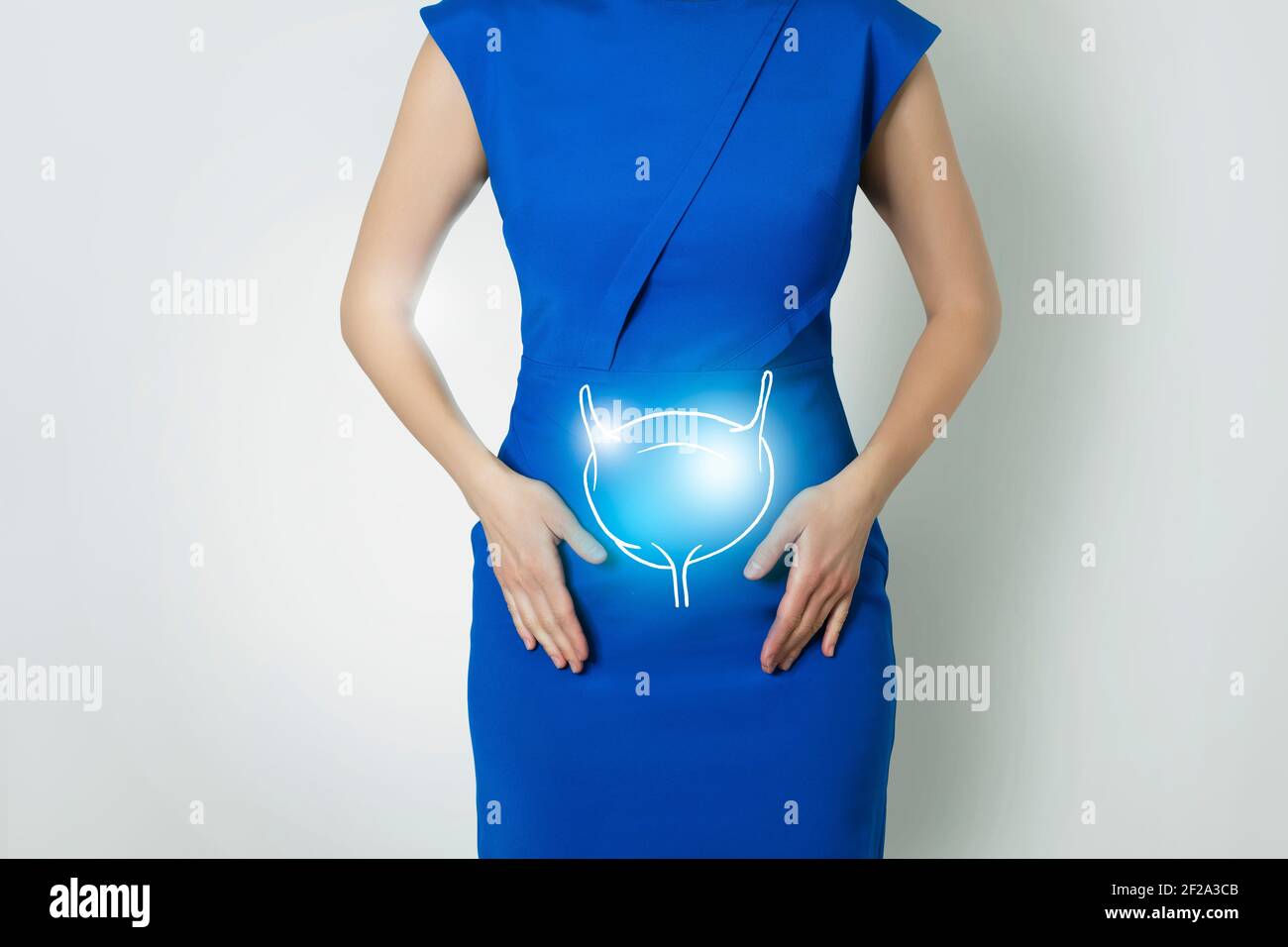 Graphic visualization of healthy human bladder, positive blue  bright color of recovery, health of internal organs and detox. Vitamin sup Stock Photo