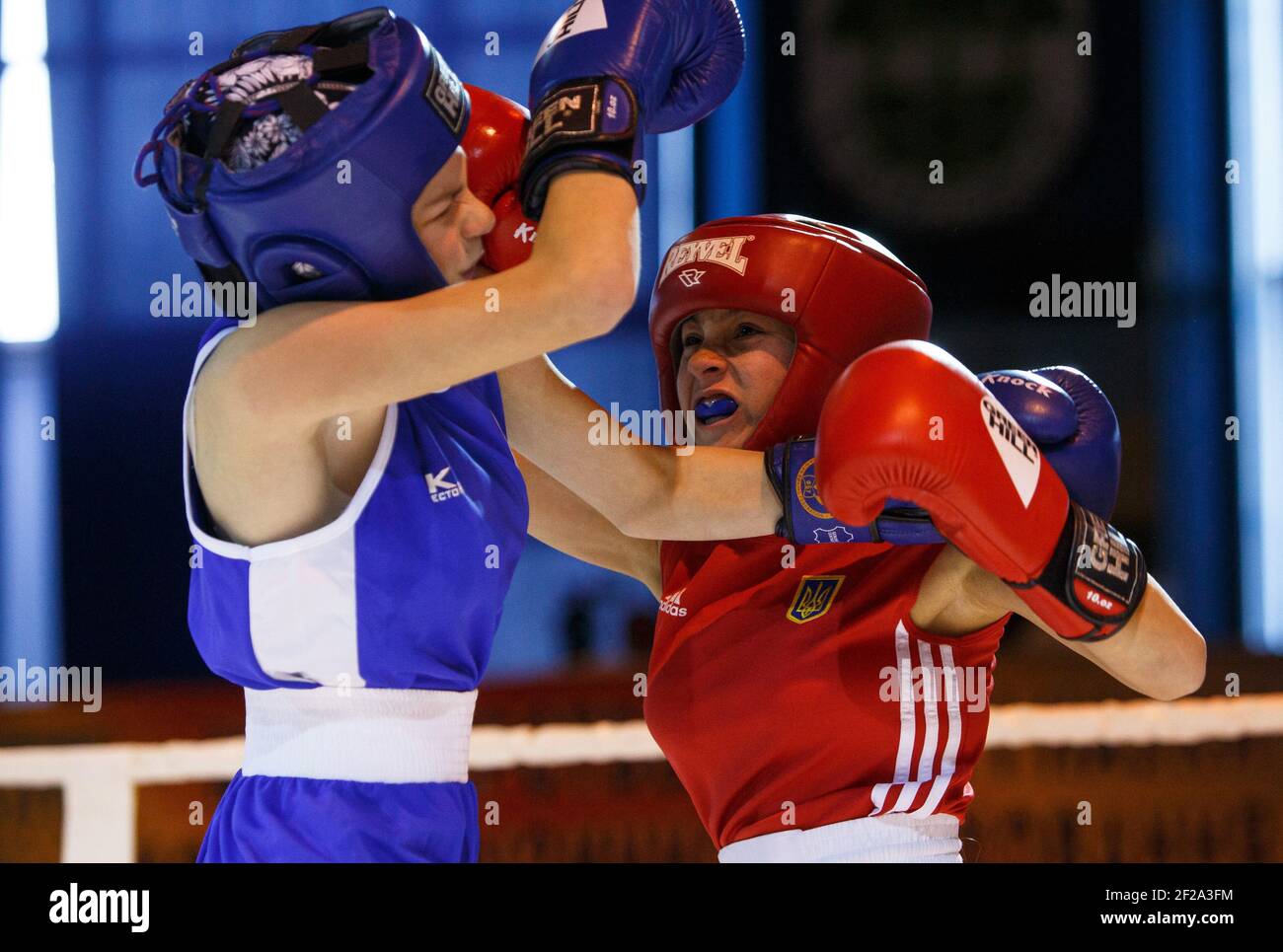 Womens boxing hires stock photography and images Alamy