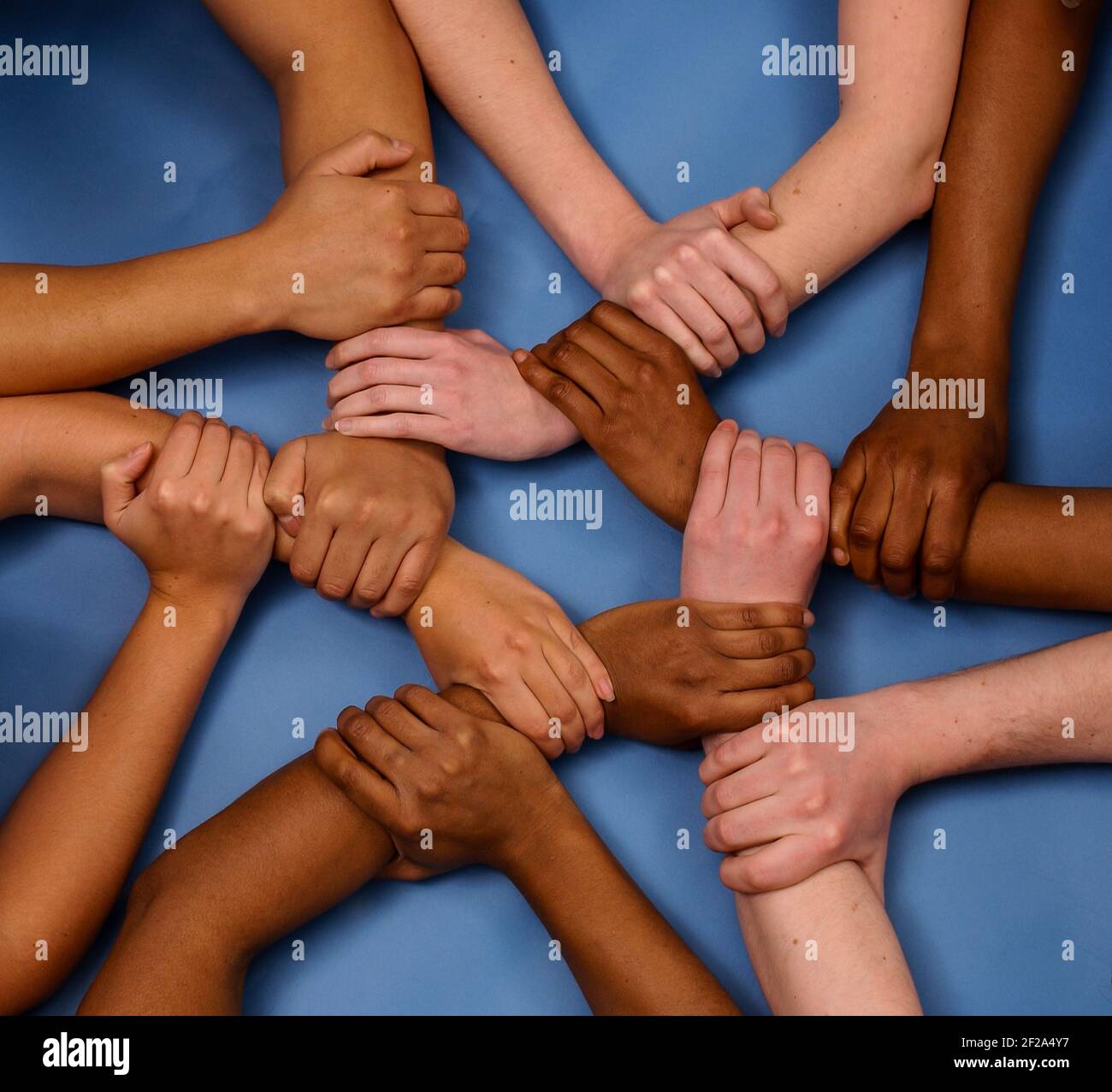 Linked arms and hands showing strength in teamwork against a blue background Stock Photo