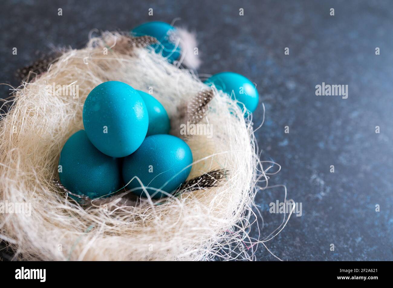 Mystical coloring Easter eggs with twigs in a decorative nest on blue background Stock Photo