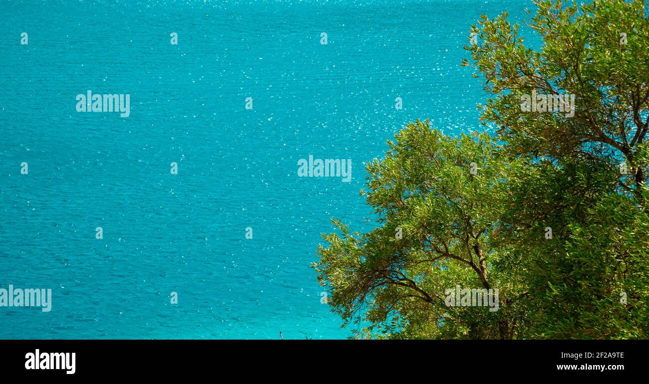 Summer concept: Sea view to blue turquoise waters from a sharp cliff with trees and herbage Stock Photo