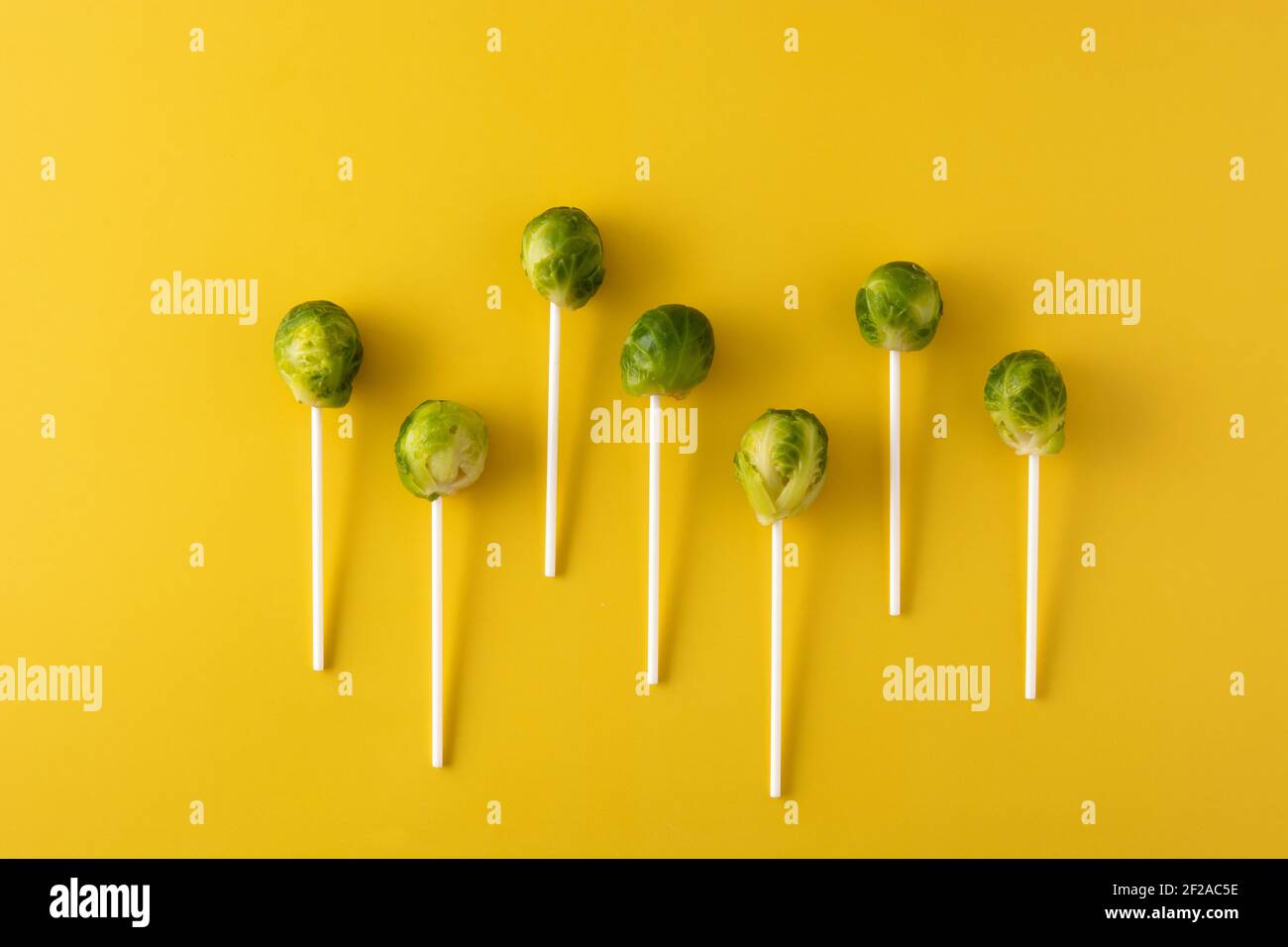 Set of brussel sprouts with lollipop sticks on yellow background Stock