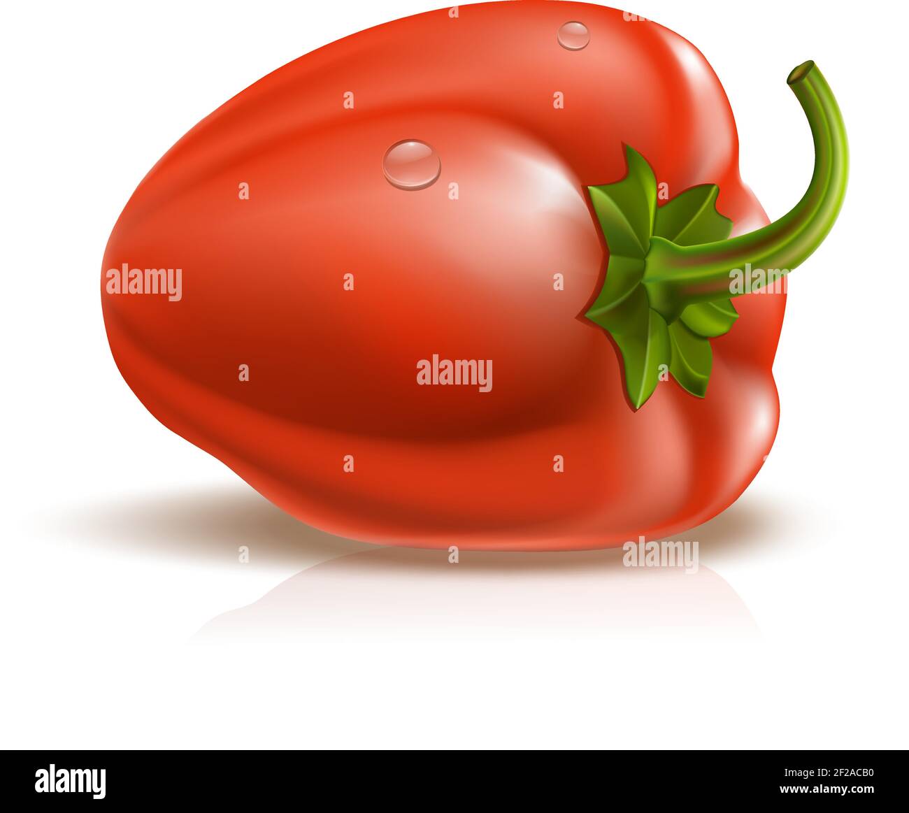 Perfect red pepper with drops on white Stock Vector