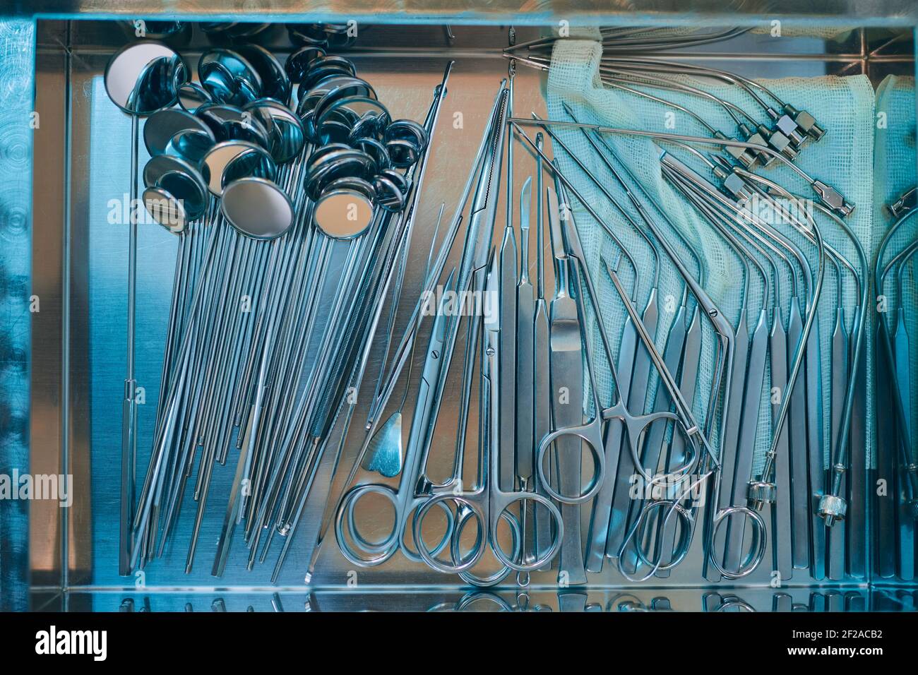 Ear, Nose and Throat doctor instruments. Still life of tools on metal tray. Stock Photo