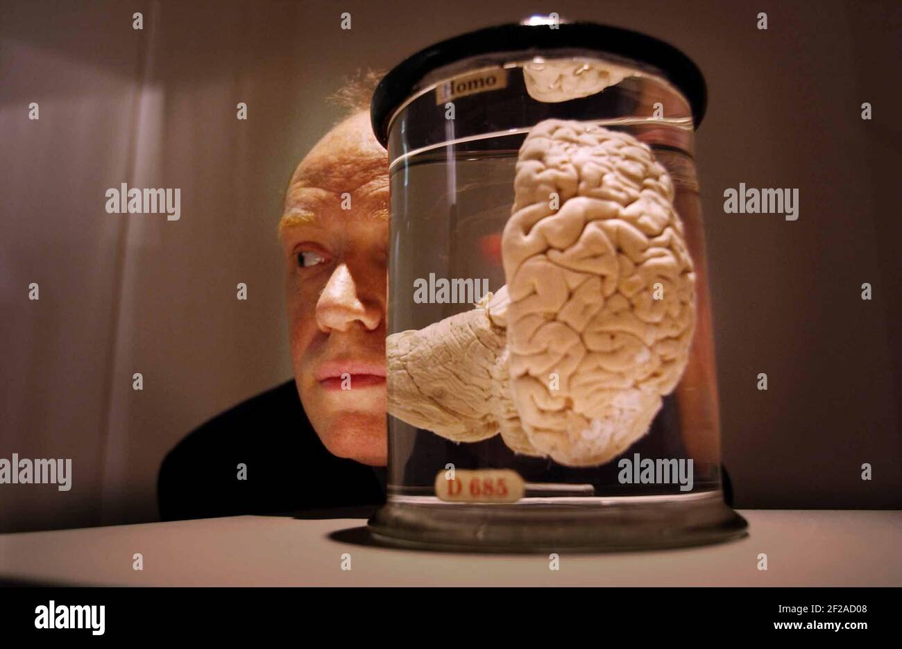 DR KEN ARNOLD , HEAD OF EXHIBITIONS AT THE WELLCOME TRUST OVERSAW THE INSTILLATION OF THE RIGHT HEMISPHERE OF THE BRAIN OF CHARLES BABBAGE,KNOWN AS 'THE  INVENTOR OF THE COMPUTER' WHICH IS ON SHOW IN AN EXHIBITION CALLED 'HEAD ON,ART WITH THE BRAIN IN MIND' AT THE SCIENCE MUSEUM. 14/3/02 PILSTON Stock Photo
