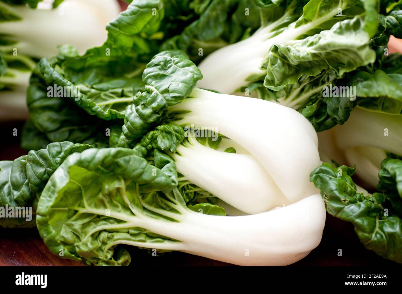 baby pak choi or bok choy used in asian stir fry wok food stock photo ...