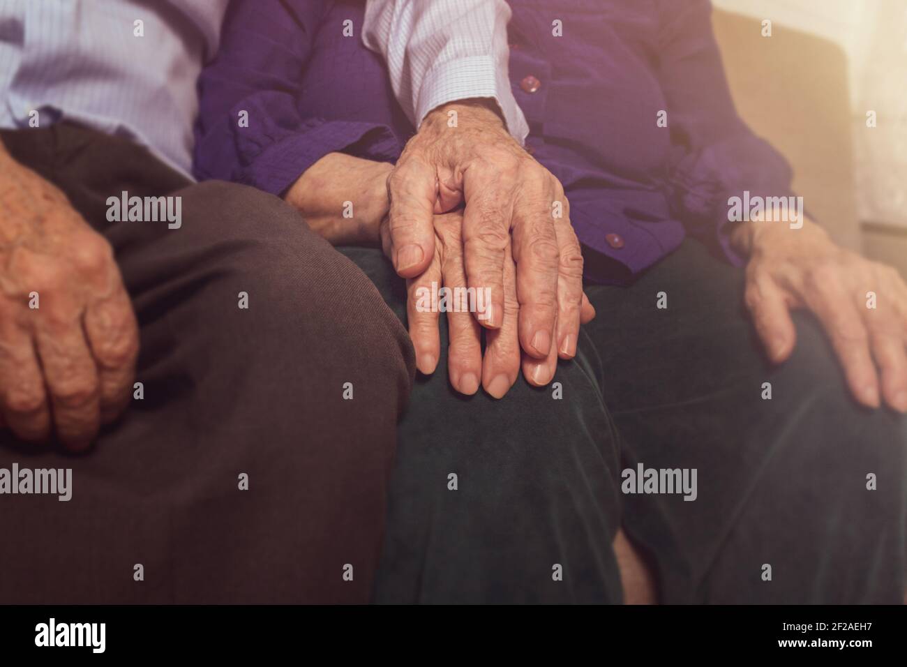Elderly couple hands. Husband holding wife's hand for support. Nursing home. Age-related diseases. Love to the death.  Stock Photo