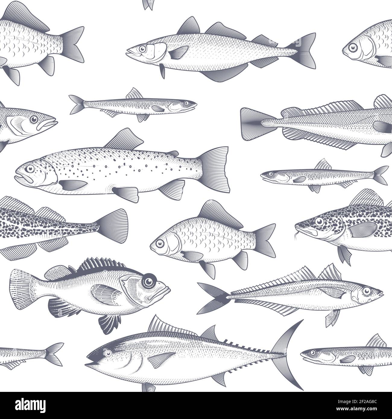 Seamless fish background, pattern of tuna, trout, mackerel and other commercial fish and seafood wallpaper, vector Stock Vector