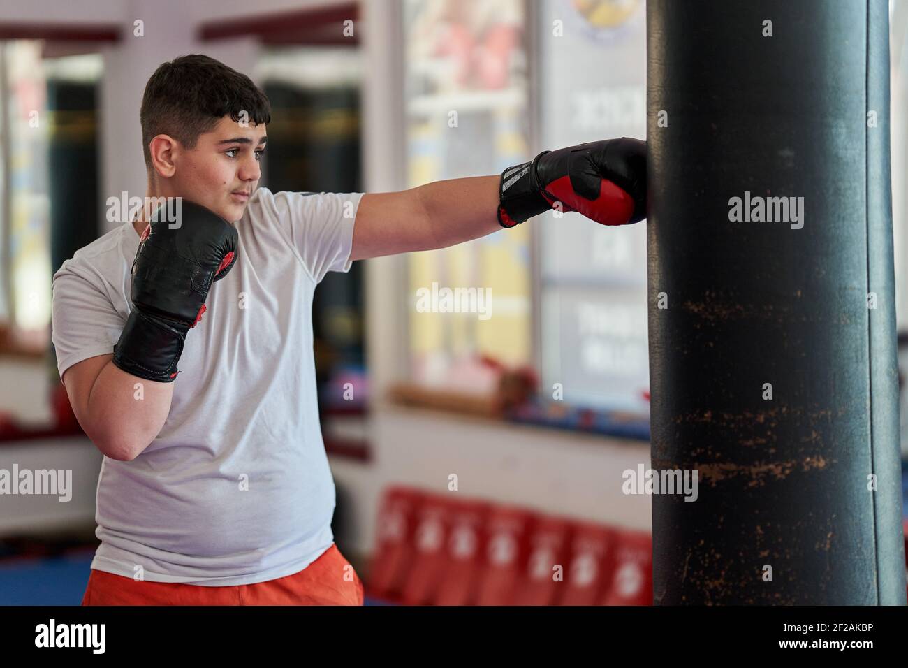Overweight kickboxing fighter hitting the heavy bag in the gym Stock