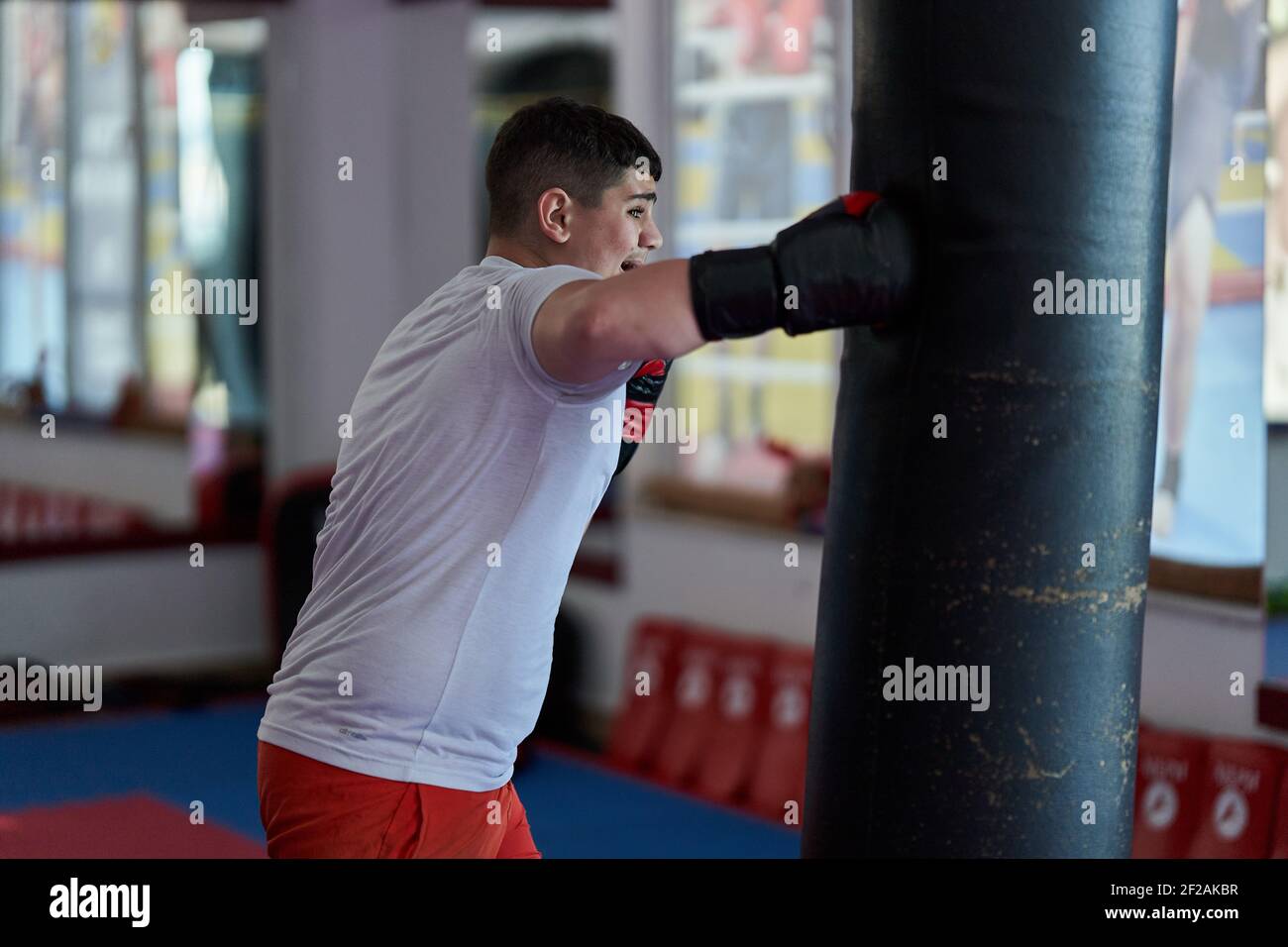 Overweight kickboxing fighter hitting the heavy bag in the gym Stock