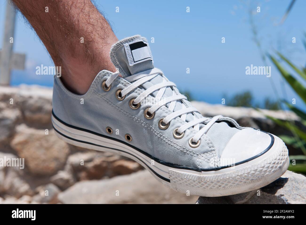 Sneaker trendy and elegant sport shoe for man isolated. Steel life studio  shoot Stock Photo - Alamy