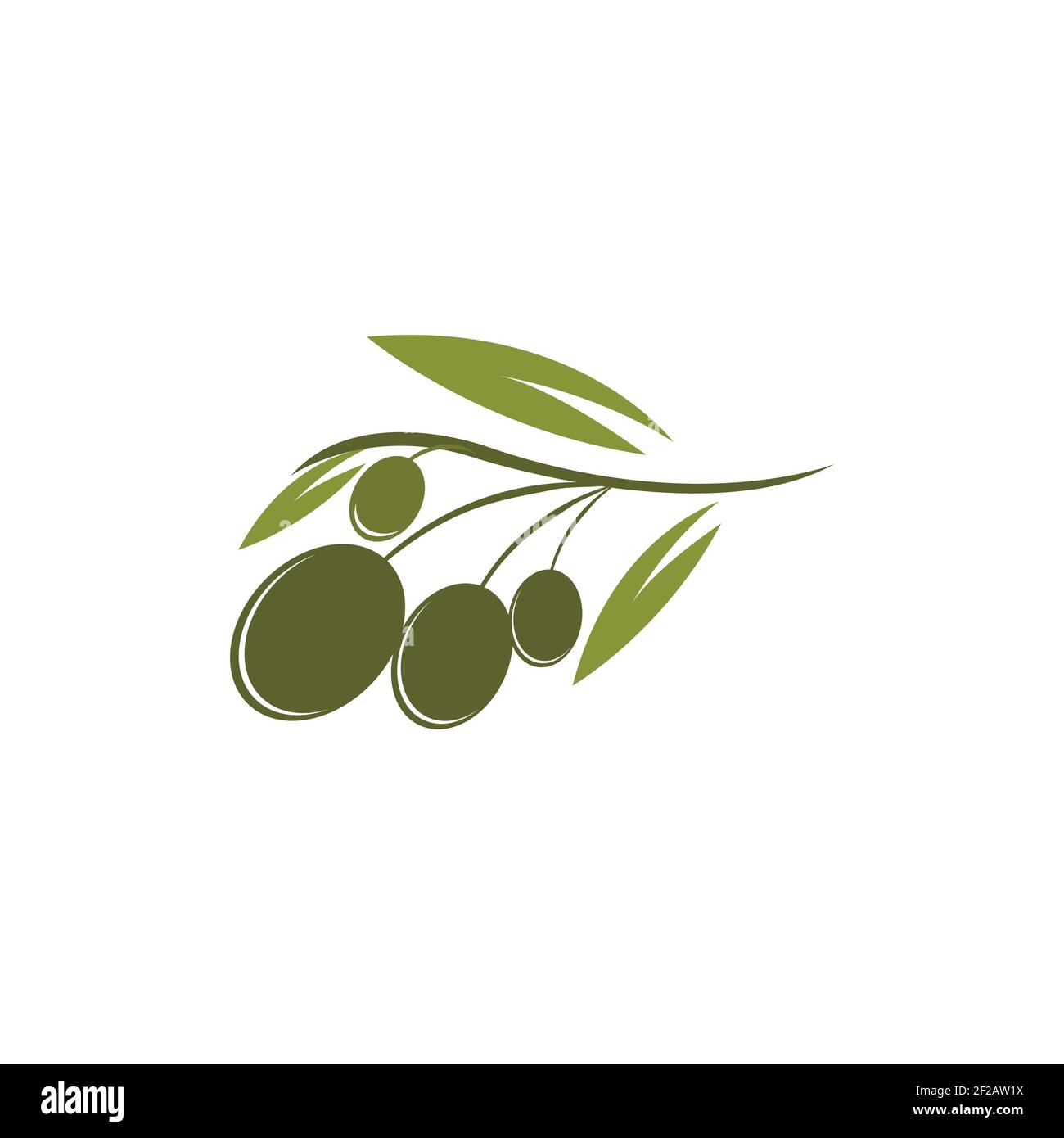 Olive logo template vector icon illustration design Stock Vector Image ...