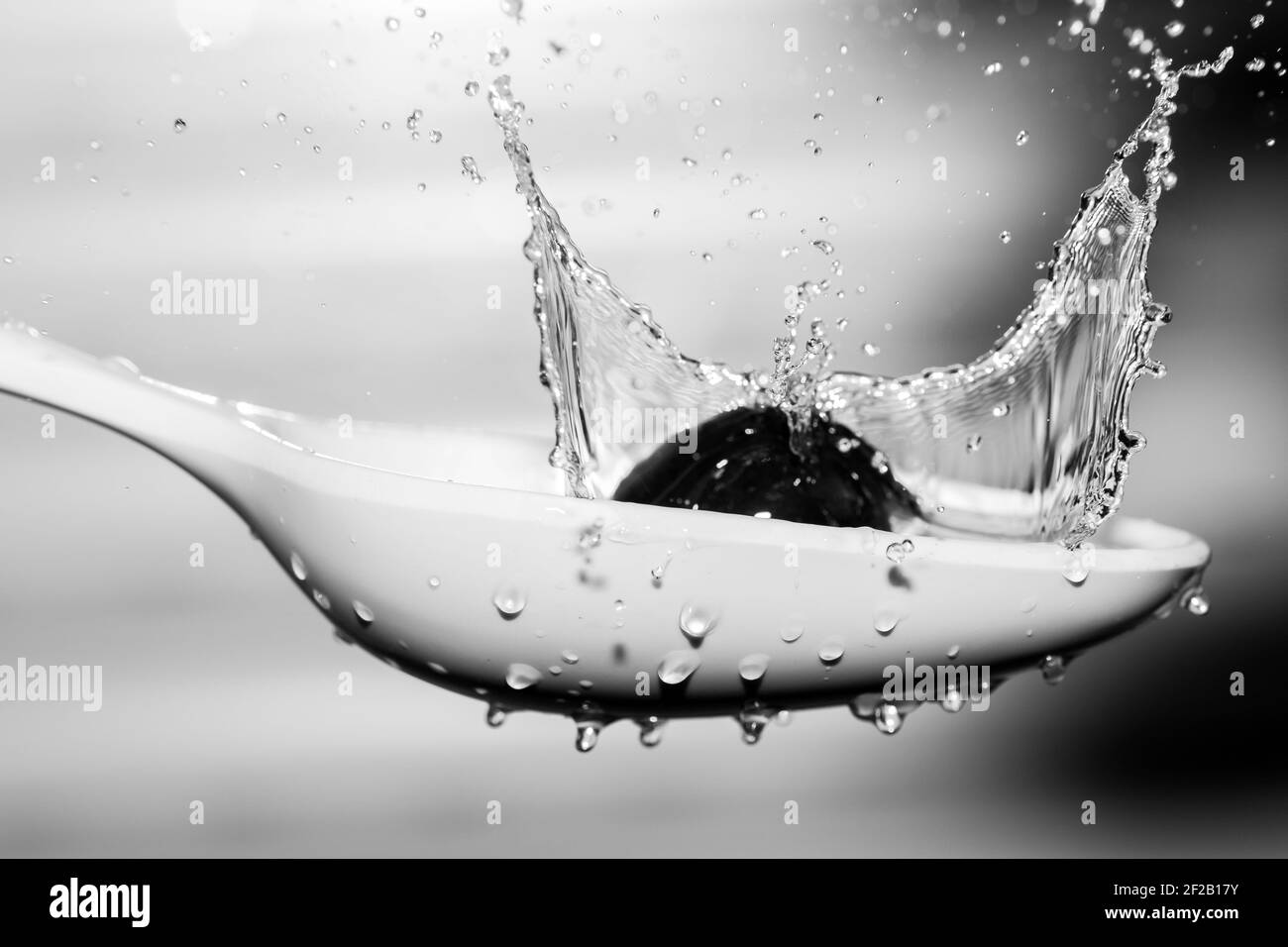 Aceituna negra cayendo sobre cuchara blanca cubierta de agua Stock Photo
