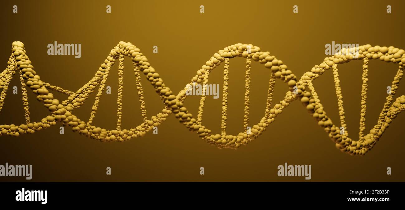 Polynucleotide chain hi-res stock photography and images - Alamy