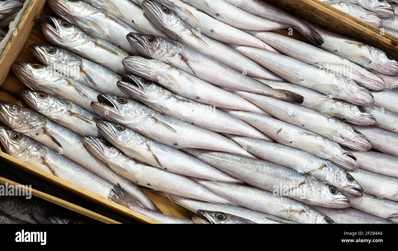 fresh fishes at the fish market Stock Photo Alamy