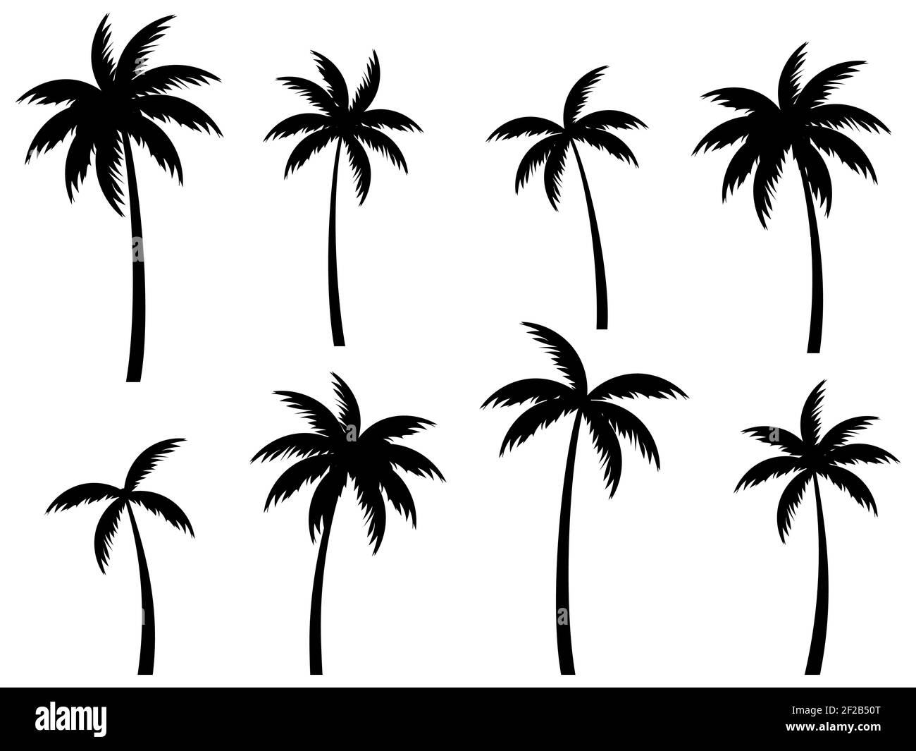 Black palm trees set isolated on white background. Palm silhouettes