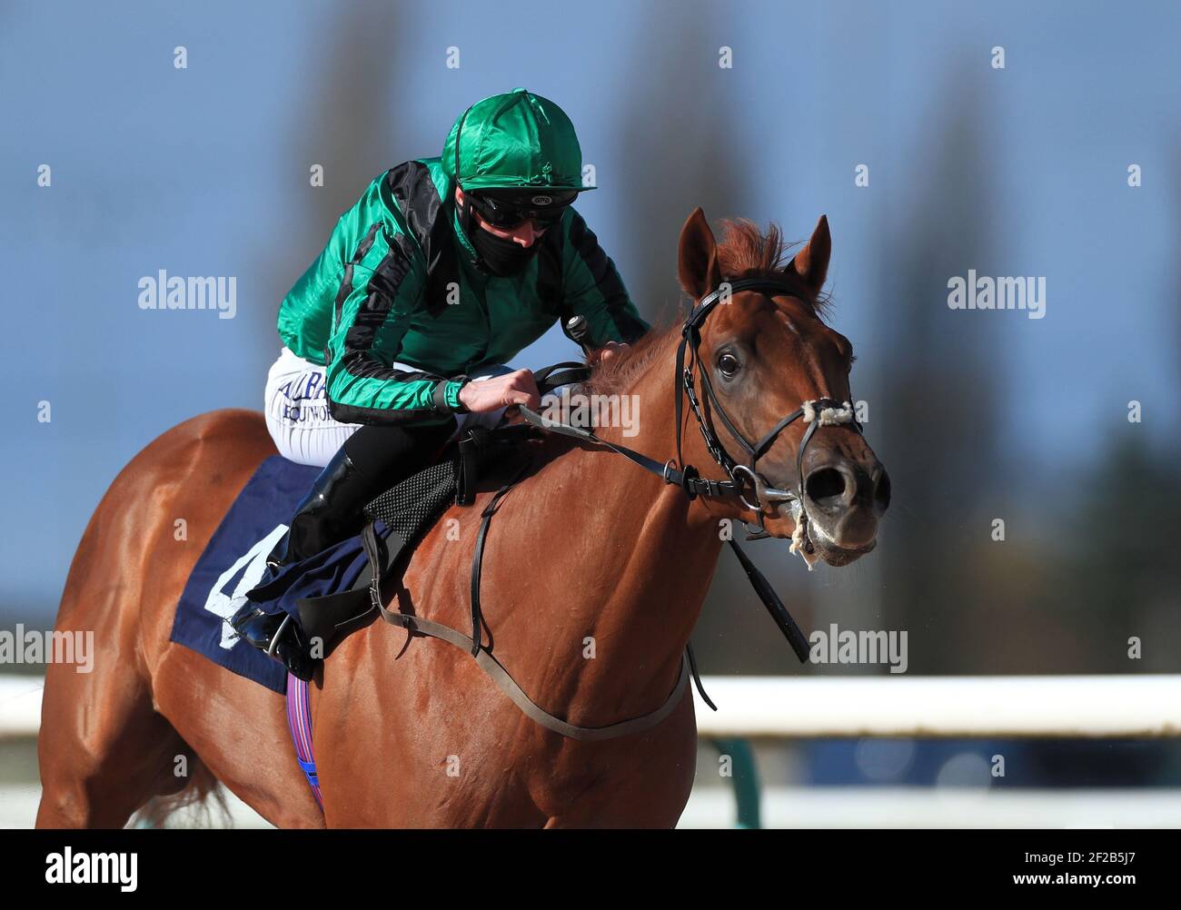 Jack Mitchell riding Secret Glow on their way to winning the Bombardier ...