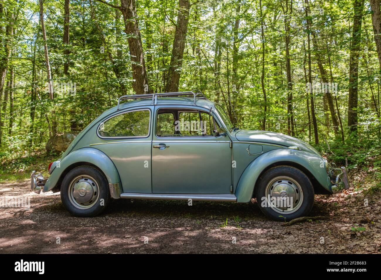 A classic, pale green Volkswagen Beetle car with trees in background. Stock Photo