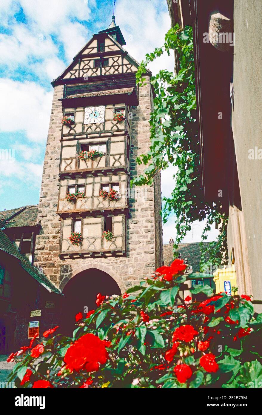 Riquewihr, France. The Dolder tower (Bell tower) of 1291 in this small medieval Alsace town, and centre of wine production. Stock Photo