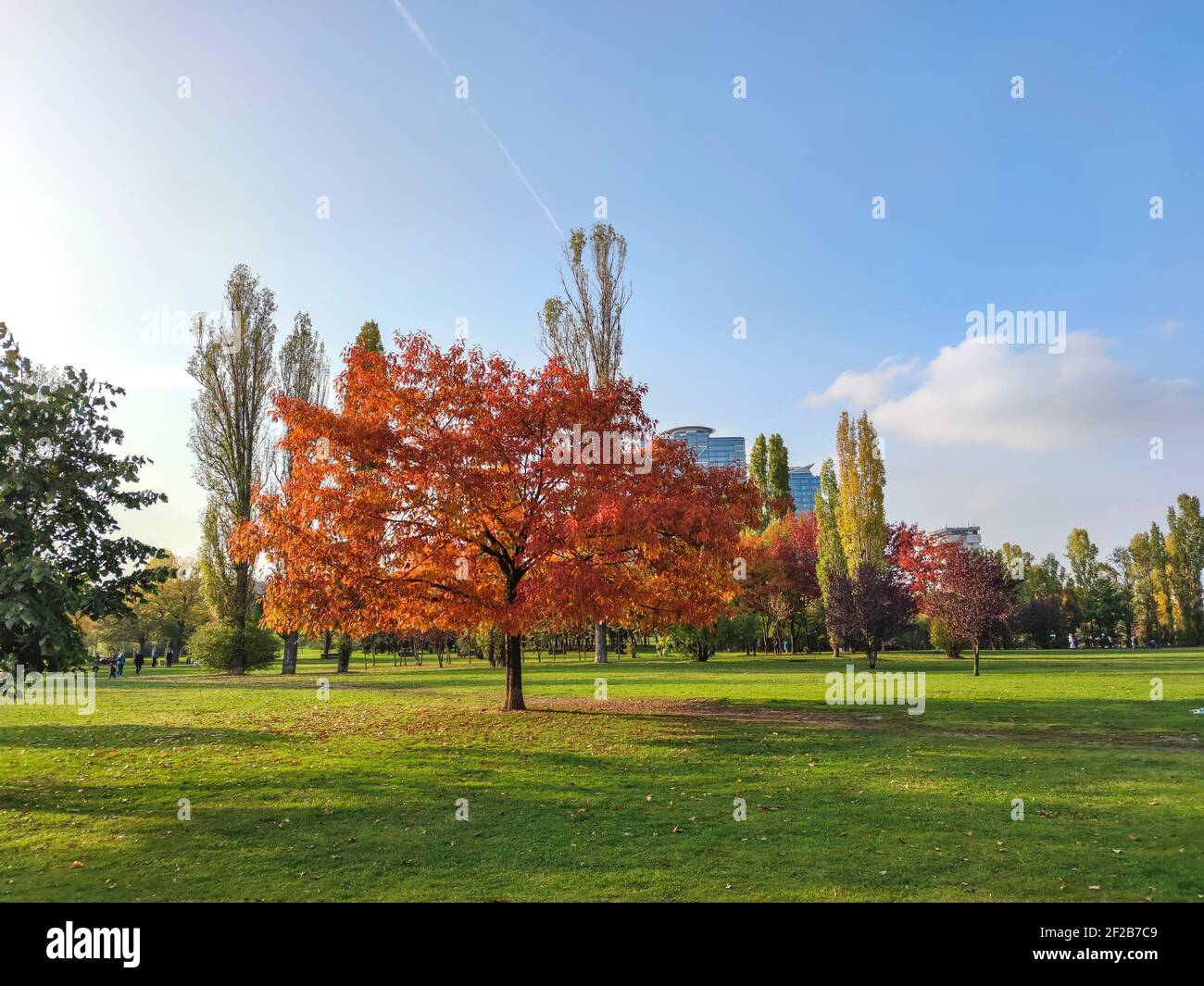 The autumn south in Fall Foliage