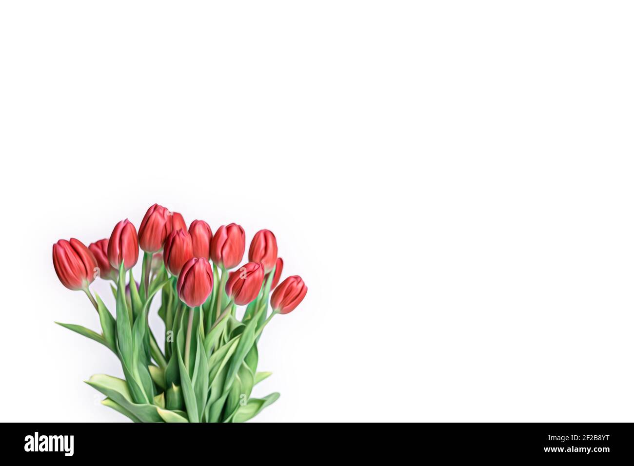 Fresh picked red tulips near a white panel window Stock Photo