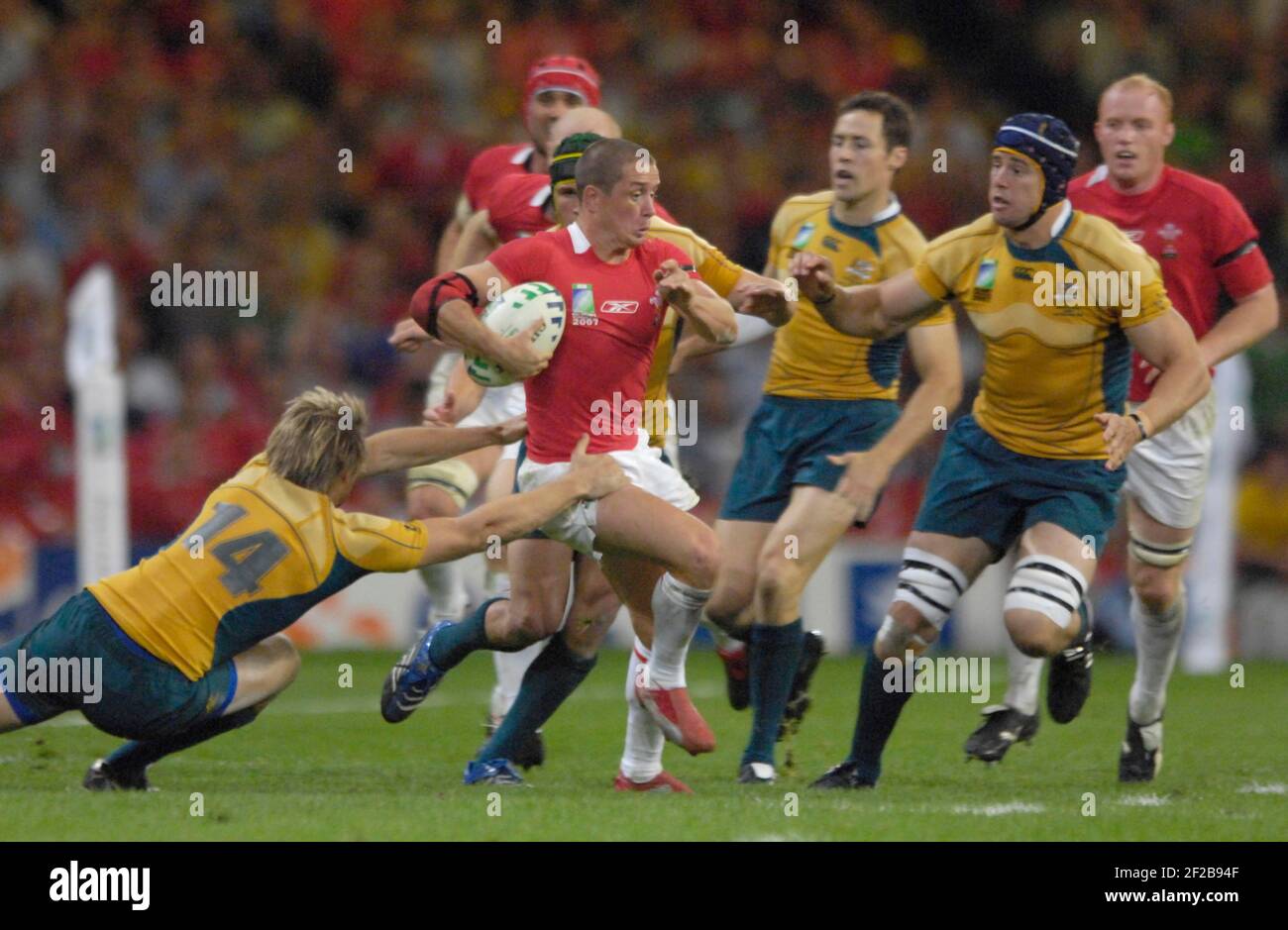 Wallabies vs Wales