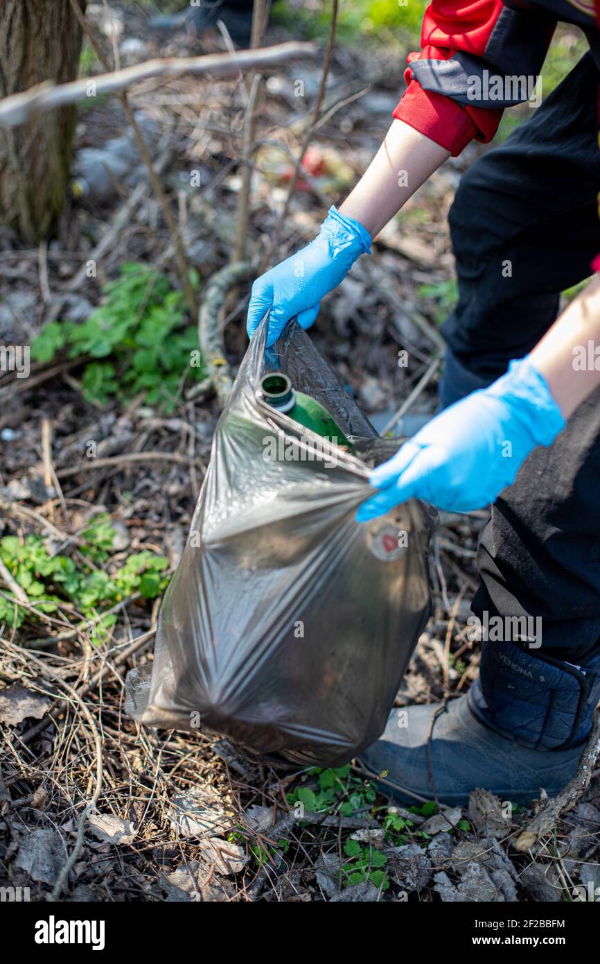 Collecting garbage in the forest in the spring Stock Photo Alamy