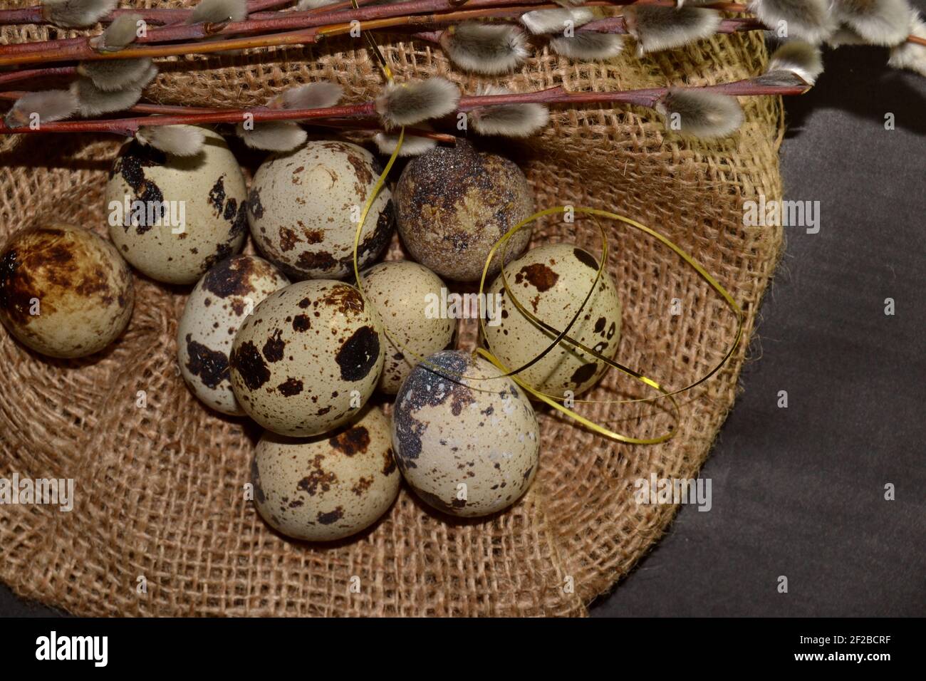 Top view Easter quail eggs in bagging and willow branches on a dark background Stock Photo