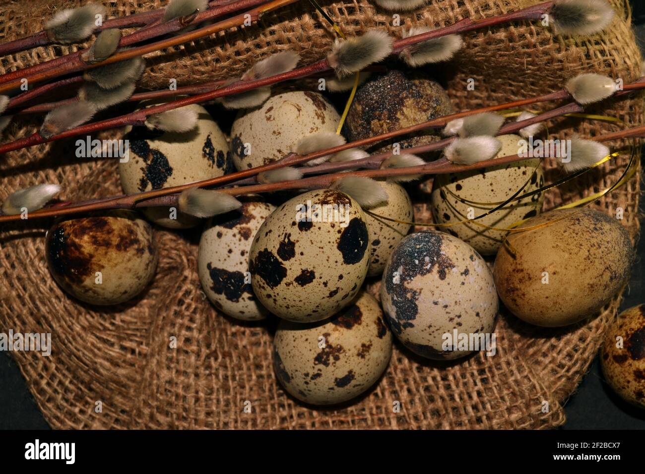 Top view Easter quail eggs in bagging and willow branches on a dark background Stock Photo