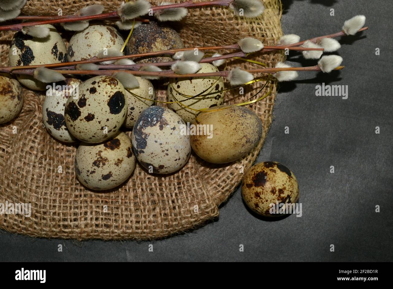 Top view Easter quail eggs in bagging and willow branches on a dark background Stock Photo