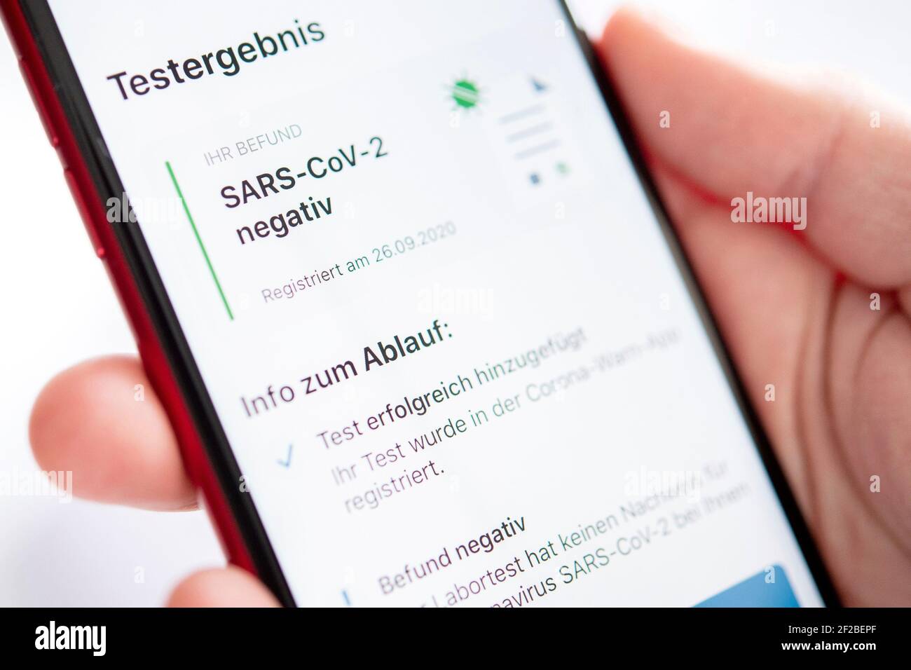 A woman opens the corona warning app of the german government on her smartphone in Oldenburg (Germany), 29 September 2020. The app shows a negative test result. Stock Photo