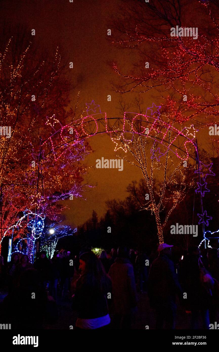 Zoo Lights night at the Smithsonian National Zoological Park in