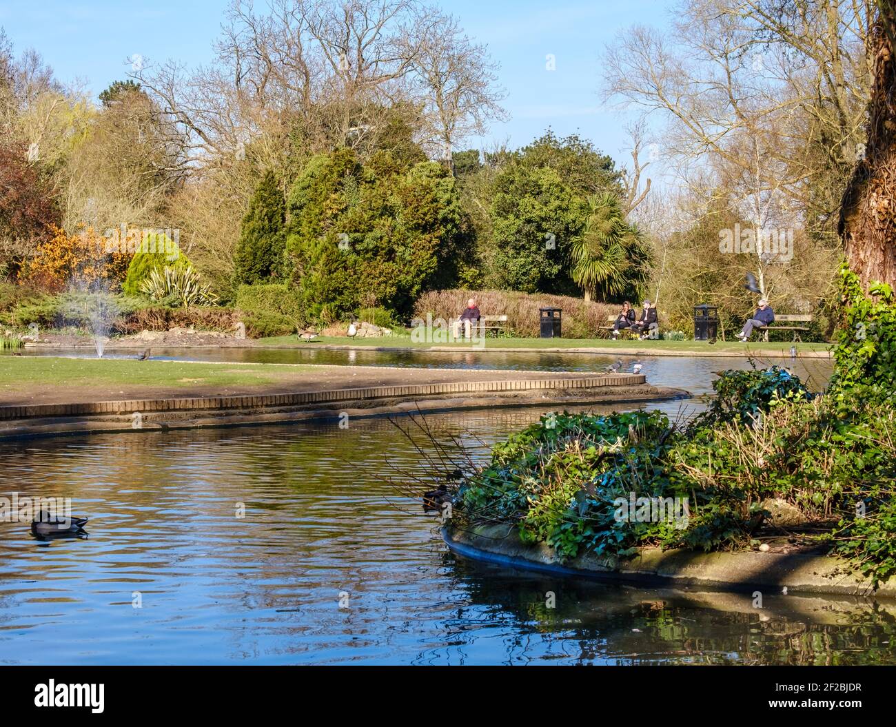 Pinner Memorial Park duck pond with trees and foliage in background and