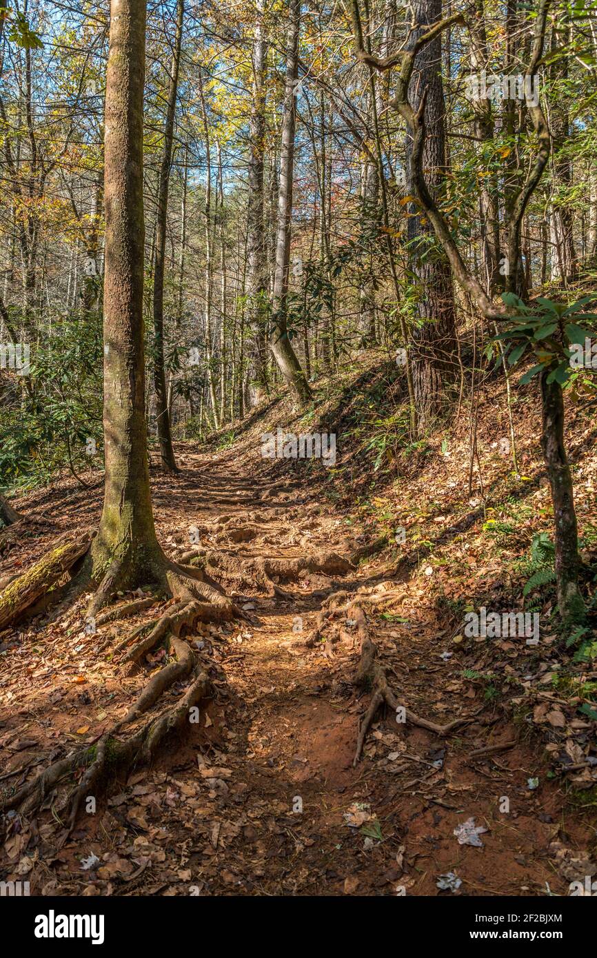 Fall over and mud hires stock photography and images Alamy