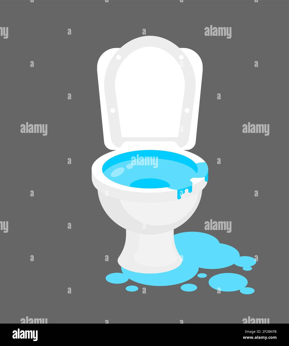 Toilet was flooded. Water is pouring from toilet. Clogged water