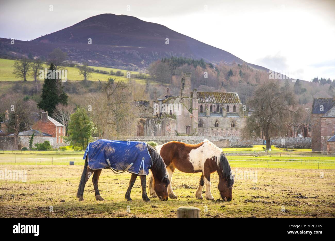 Eildon hills sun hi-res stock photography and images - Alamy