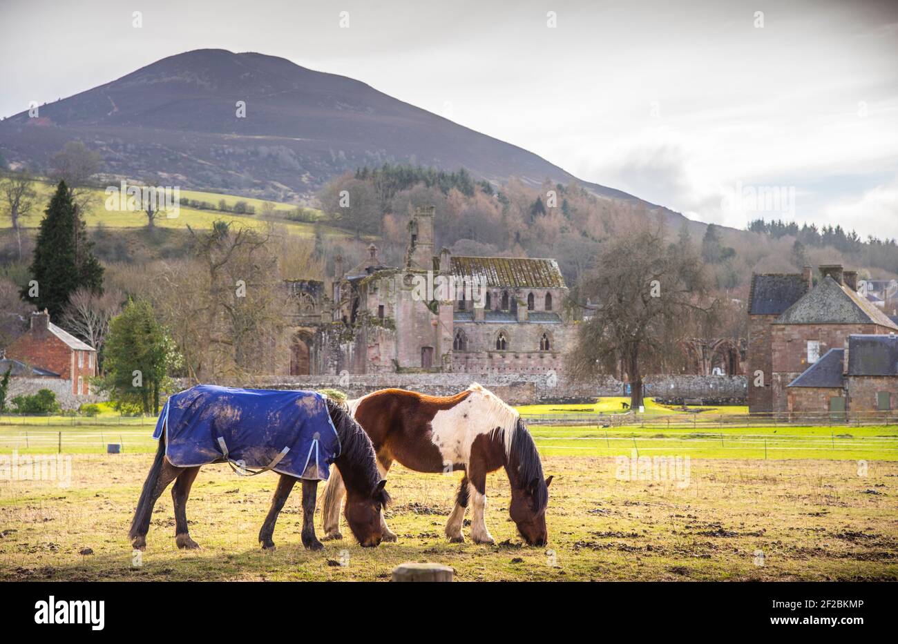 Eildon hills sun hi-res stock photography and images - Alamy