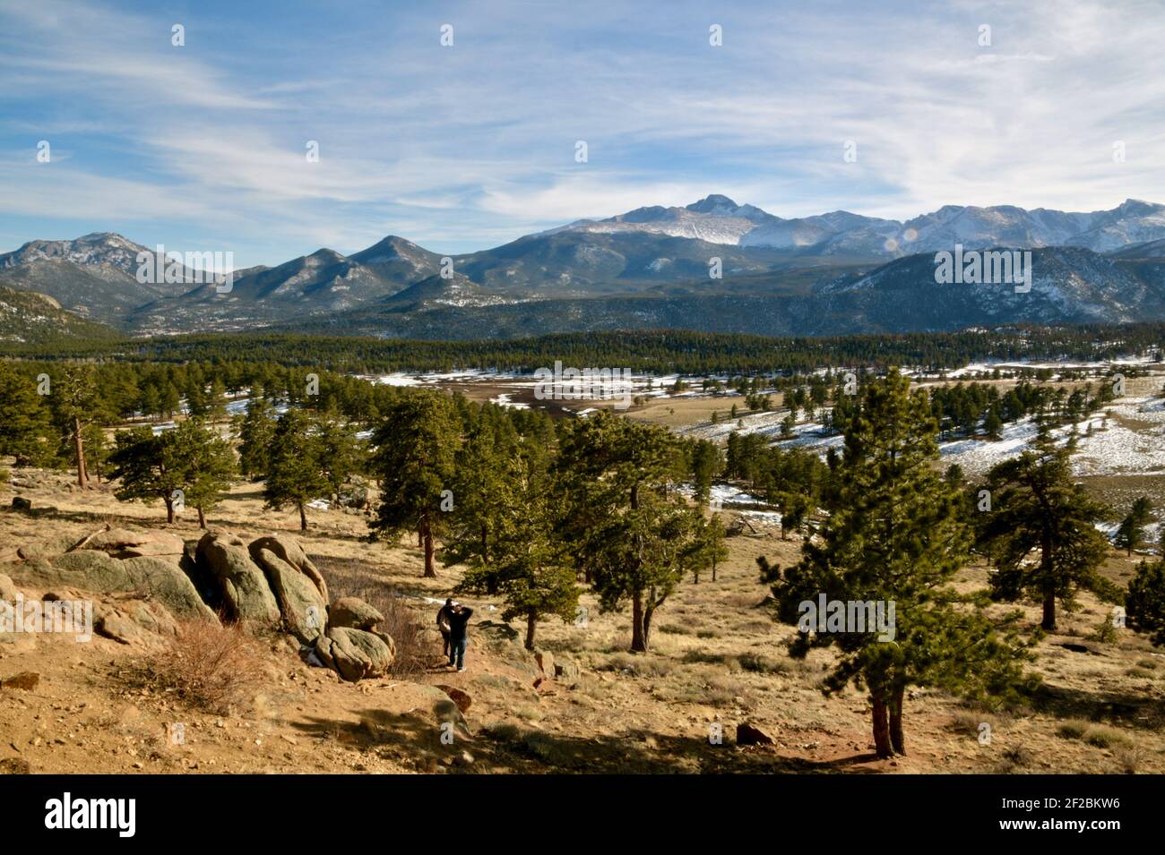 Rocky Mountains in the Rocky mountain National Park looking slightly Snow covered with dry grasslands in the foreground with pine trees. Stock Photo