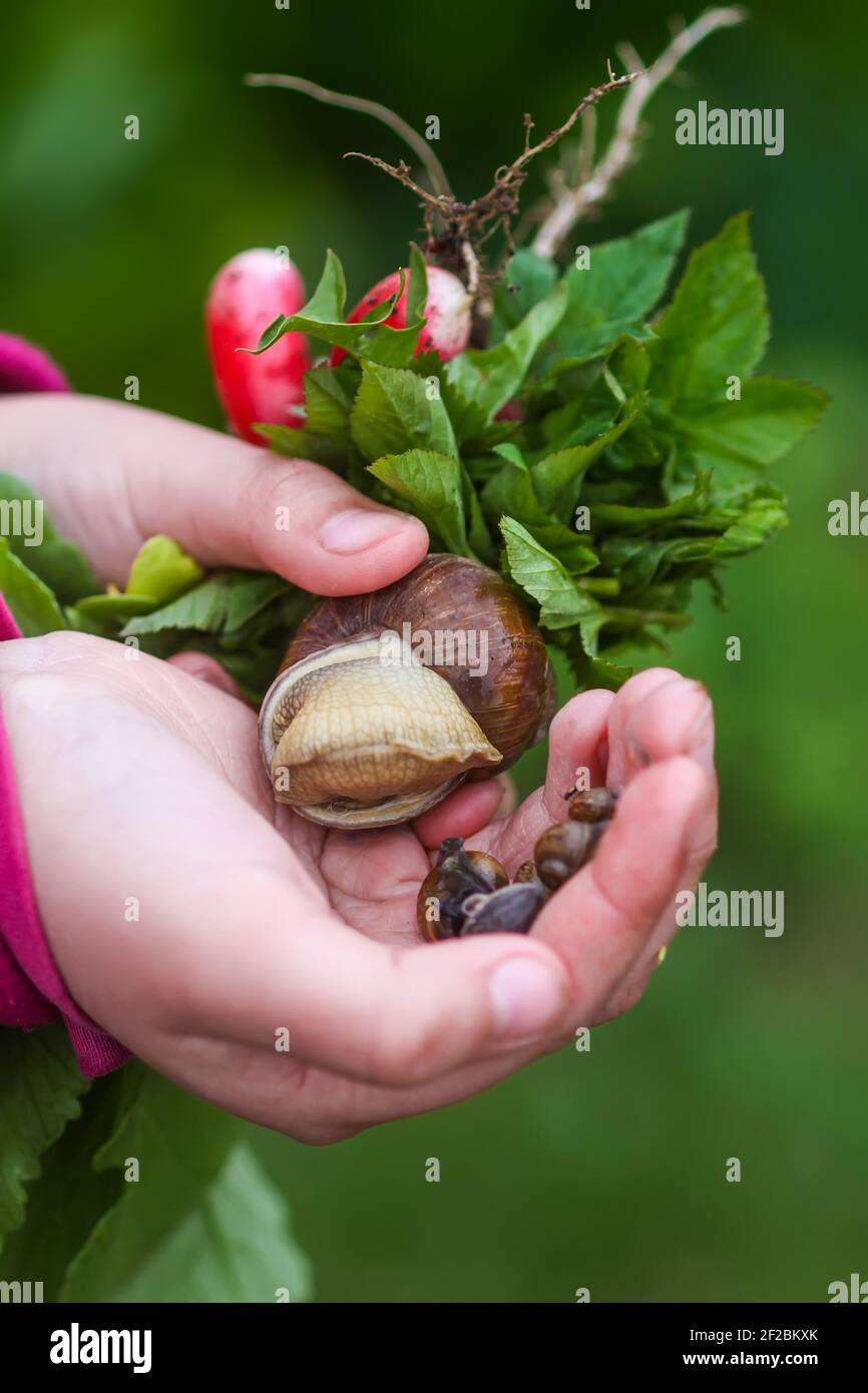 Childs outdoor curiosity hi-res stock photography and images - Alamy