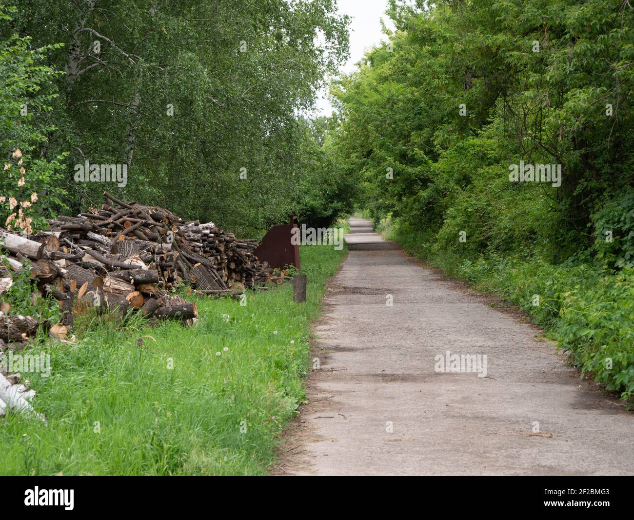 A long asphalt road stretching into the distance along the sides is ...