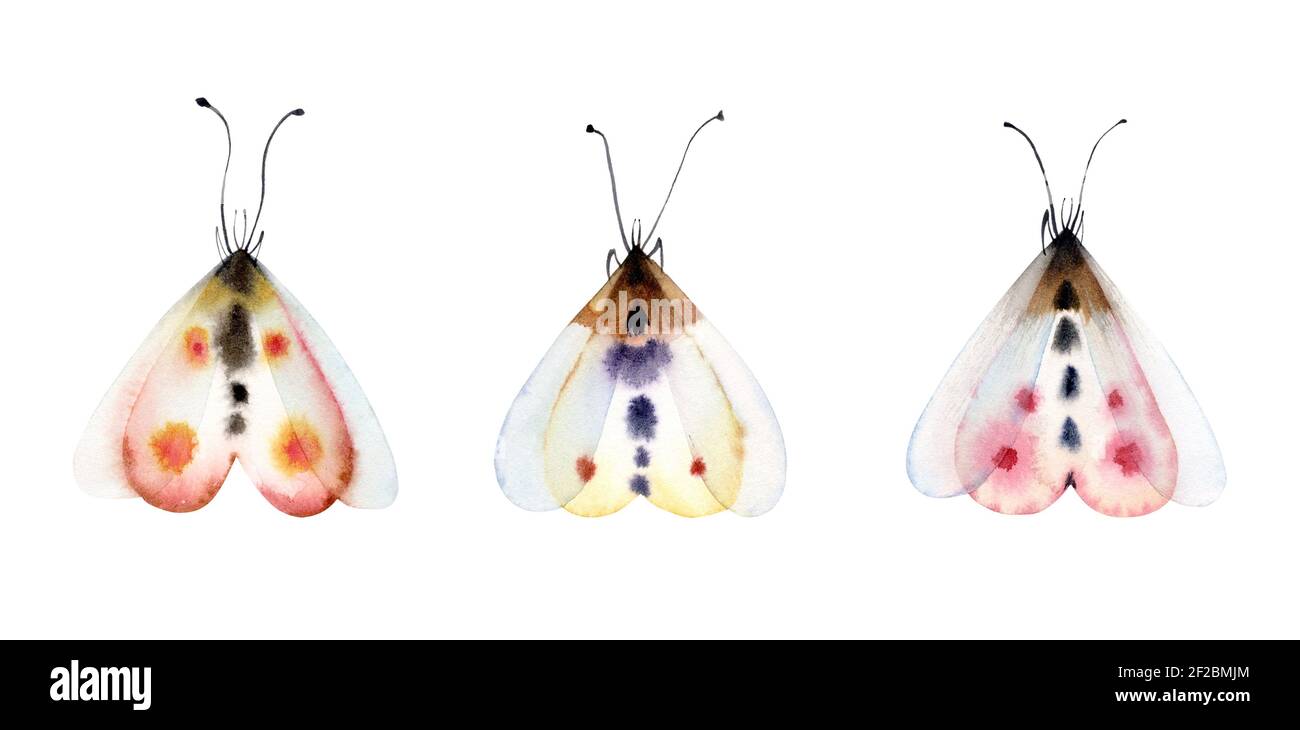 Watercolor butterflies set. Collection of colorful insects isolated on white. Detailed white, yellow, pink wings. Hand painted summer illustration Stock Photo