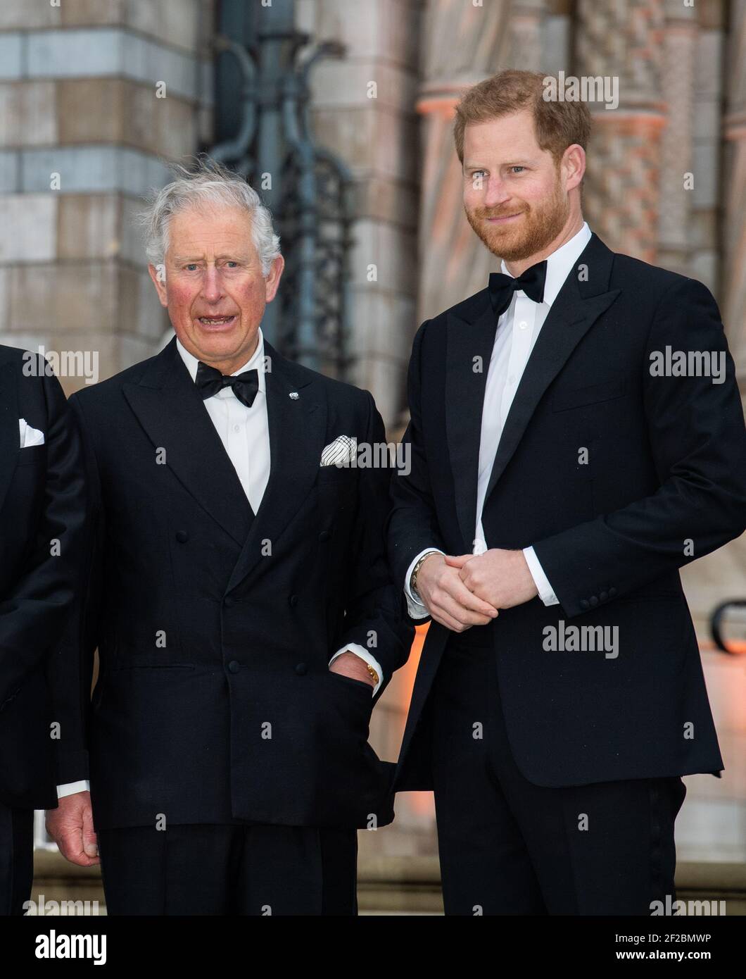 London, United Kingdom. 4th April 2019. Prince Charles, Prince Harry attending The World Premiere of the Netflix Television Series 'Our Planet' held at the Natural History Museum. Credit: Scott Garfitt /Alamy Live News Stock Photo