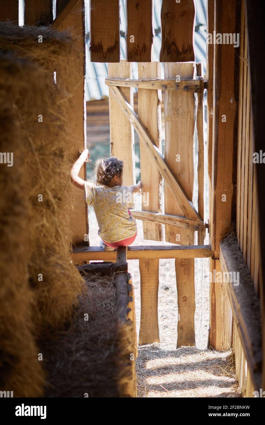 Portrait of a village girl which is opening a timber plank door of the hayloft in a summer sunny day Stock Photo