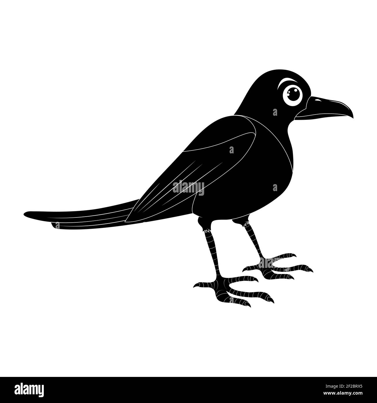 Magpie bird silhouette illustration set . Standing crow animal ornithology design. Vector shape isolated on white background. Stock Vector