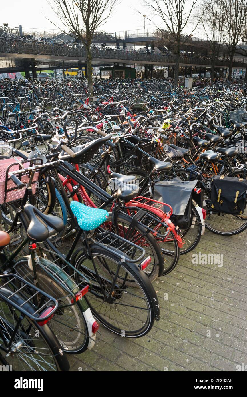 Bicycle parking outside Centraal Station, Amsterdam, Netherlands. Stock Photo