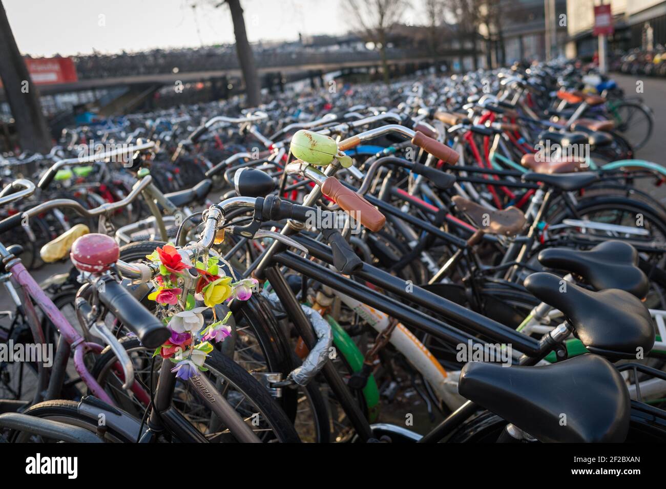 Bicycle parking outside Centraal Station, Amsterdam, Netherlands Stock